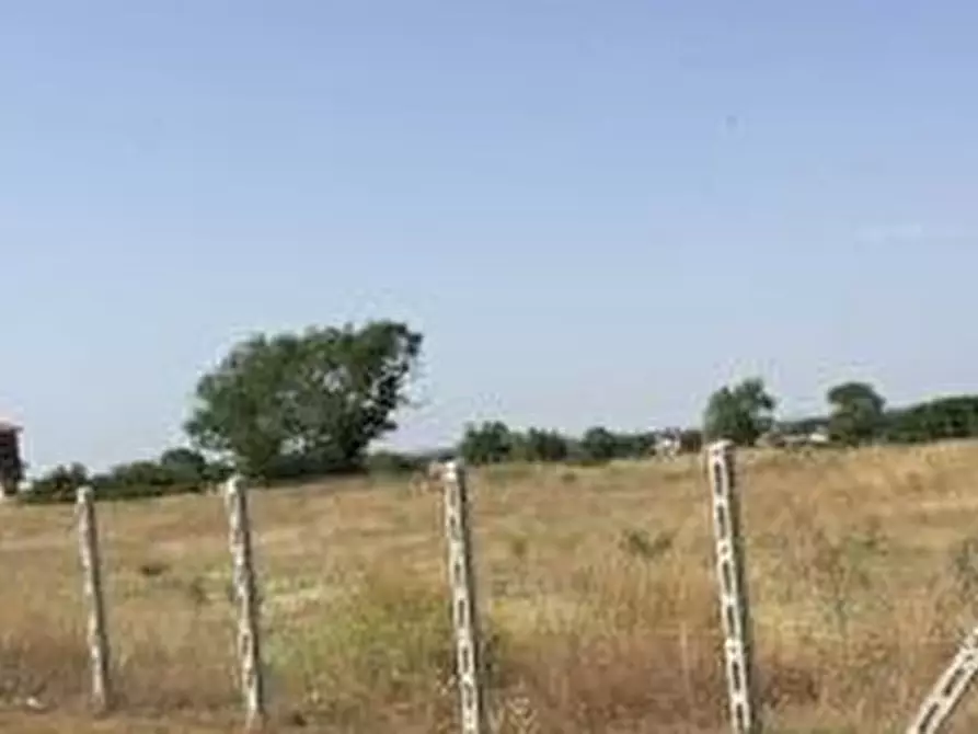 terreno agricolo in vendita a Pomezia