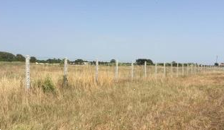 terreno agricolo in vendita a Pomezia