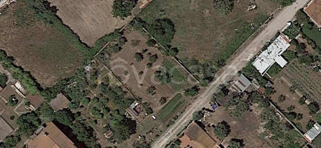 terreno agricolo in vendita a Pomezia in zona Torvaianica