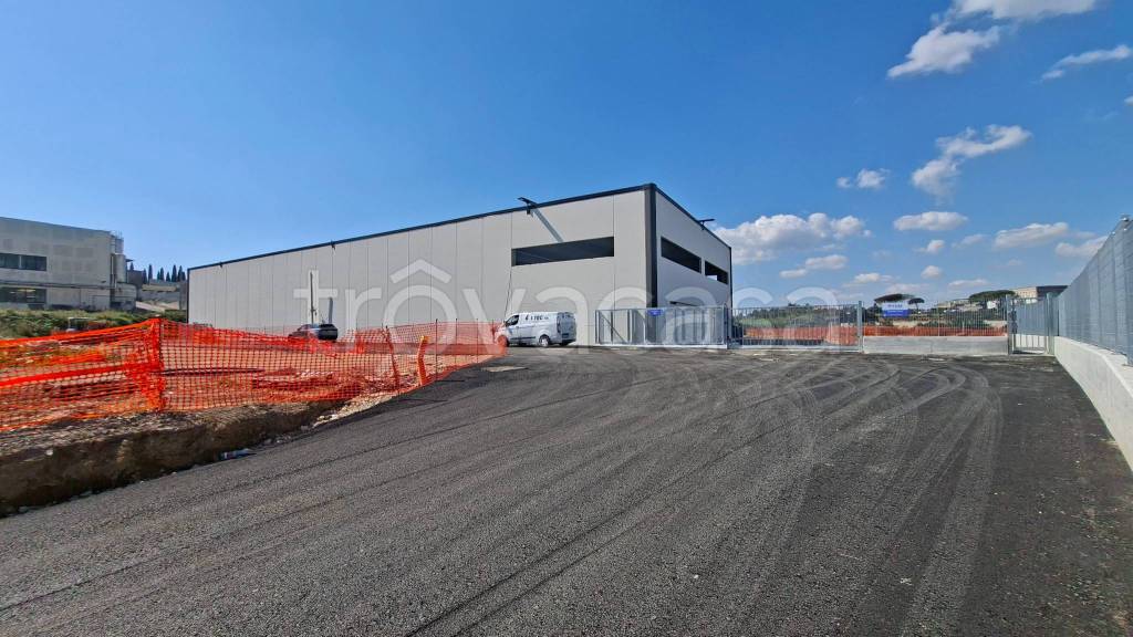 locale commerciale in vendita a Pomezia