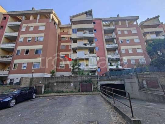 appartamento in vendita a Pomezia