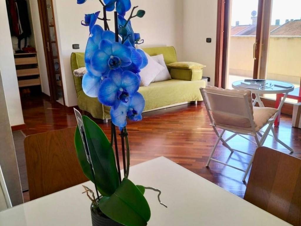 appartamento in vendita a Pomezia in zona Colli di Enea