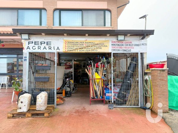 negozio in vendita a Pomezia in zona Pratica di Mare