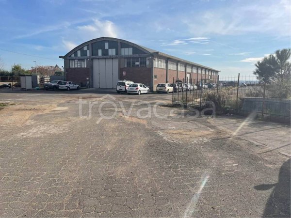 locale commerciale in vendita a Pomezia