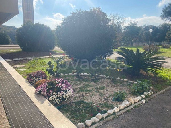 appartamento in vendita a Pomezia