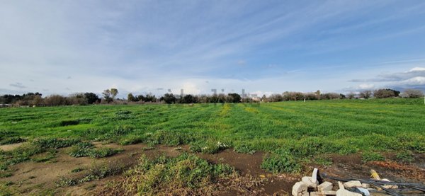 casa indipendente in vendita a Pomezia in zona Santa Procula