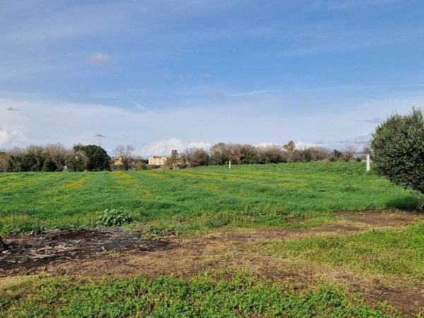 terreno edificabile in vendita a Pomezia in zona Santa Procula