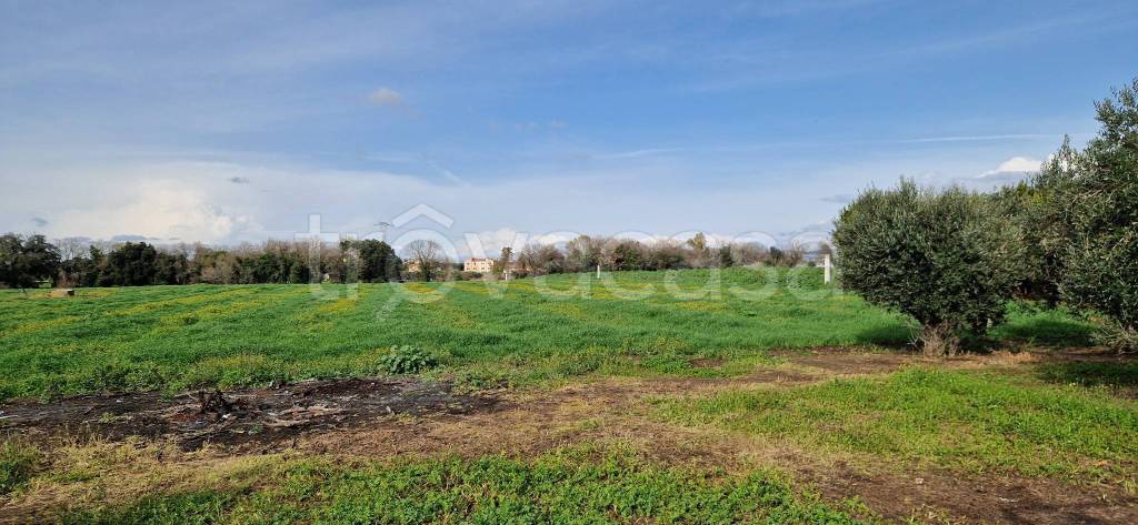 casa indipendente in vendita a Pomezia in zona Santa Procula