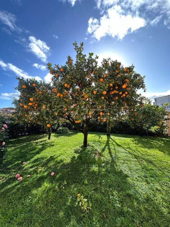 appartamento in vendita a Pomezia