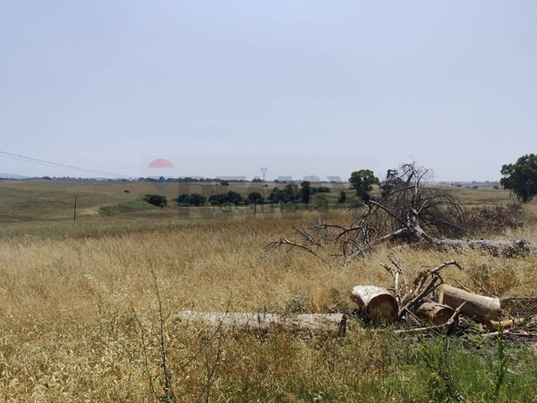 terreno agricolo in vendita a Pomezia in zona Santa Palomba
