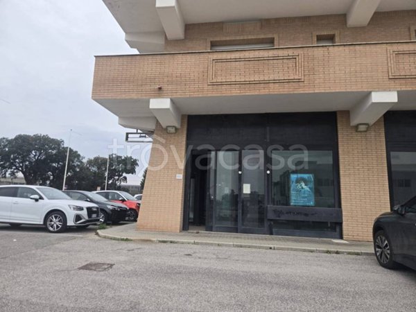 negozio in vendita a Pomezia in zona Santa Procula