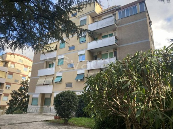 appartamento in vendita a Pomezia