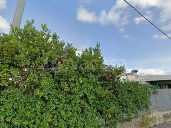 negozio in vendita a Pomezia