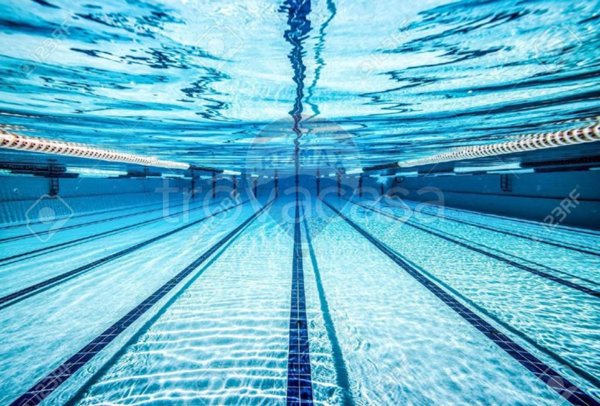 negozio in vendita a Pomezia