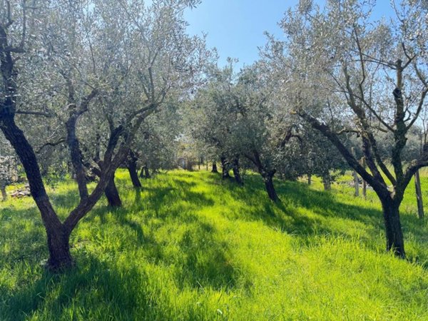 casa indipendente in vendita a Pomezia in zona Castagnetta