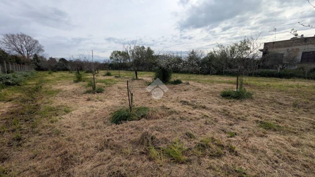 terreno agricolo in vendita a Pomezia in zona Santa Procula