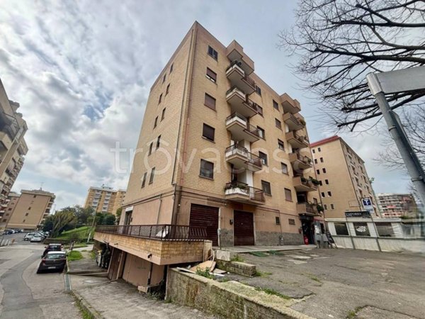 negozio in vendita a Pomezia