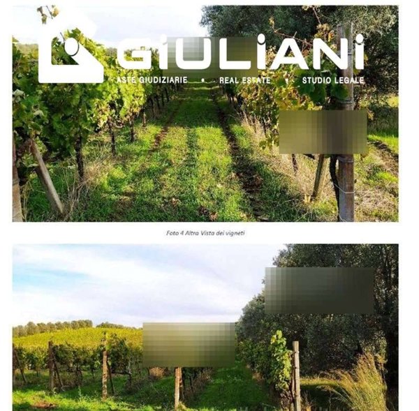 casa indipendente in vendita a Pomezia