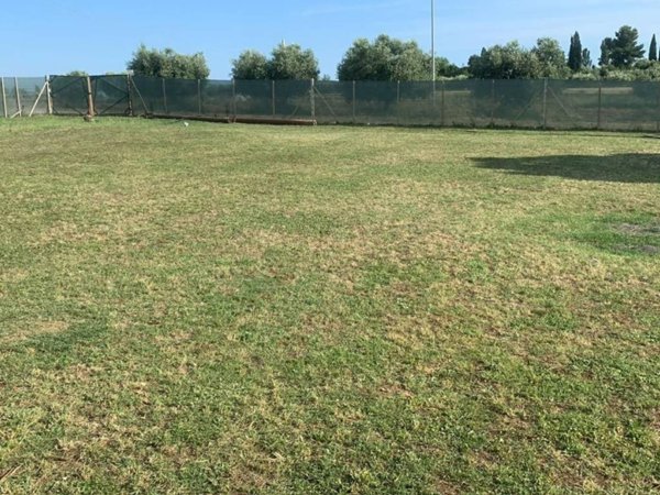 terreno agricolo in vendita a Pomezia