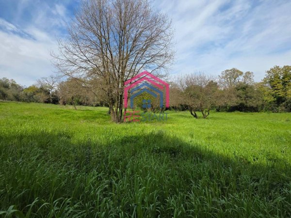 terreno edificabile in vendita a Pomezia in zona Santa Procula