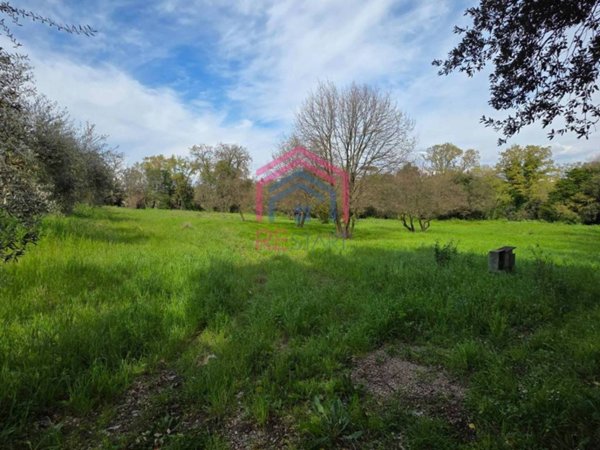 terreno edificabile in vendita a Pomezia in zona Santa Palomba