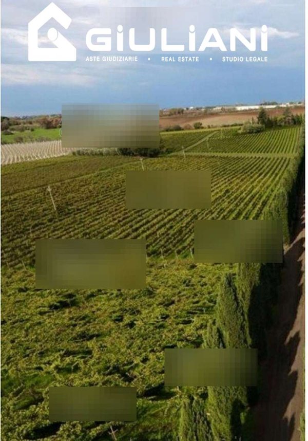 casa indipendente in vendita a Pomezia