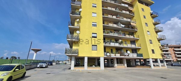 appartamento in vendita a Pomezia in zona Santa Palomba