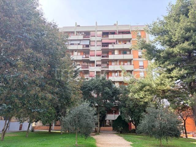 appartamento in vendita a Pomezia