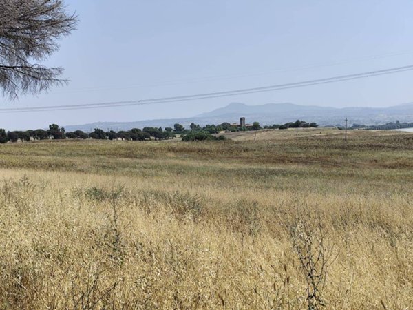 terreno agricolo in vendita a Pomezia in zona Santa Palomba