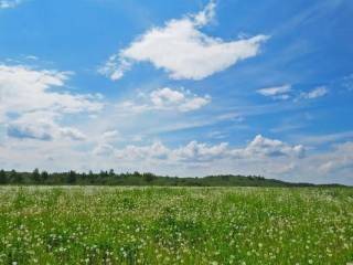 terreno agricolo in vendita a Pomezia