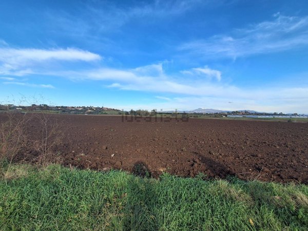 terreno agricolo in vendita a Pomezia
