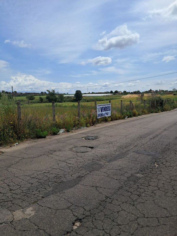 terreno agricolo in vendita a Pomezia
