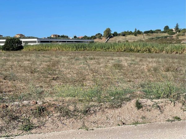 terreno agricolo in vendita a Pomezia in zona Santa Palomba