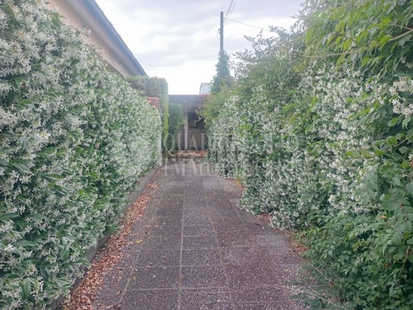 appartamento in vendita a Pomezia in zona Torvaianica