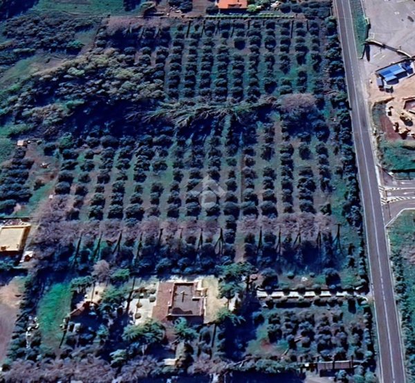 terreno agricolo in vendita a Pomezia