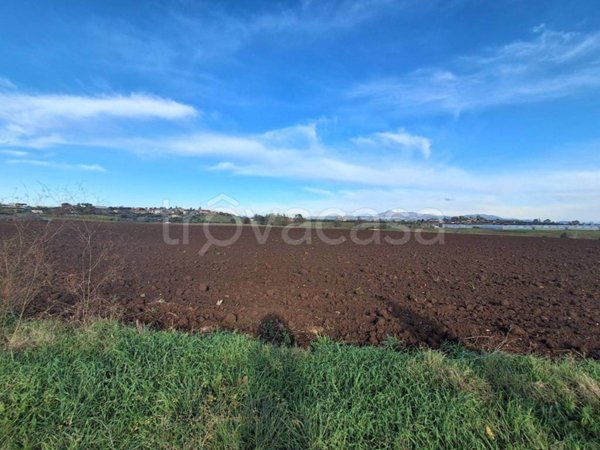 terreno agricolo in vendita a Pomezia