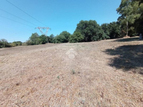 terreno agricolo in vendita a Pomezia in zona Torvaianica Alta