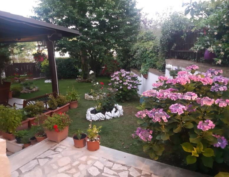 casa indipendente in vendita a Pomezia