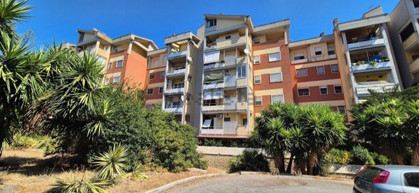 appartamento in vendita a Pomezia in zona Santa Palomba