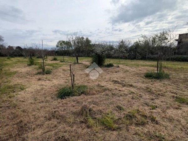 terreno in vendita a Pomezia