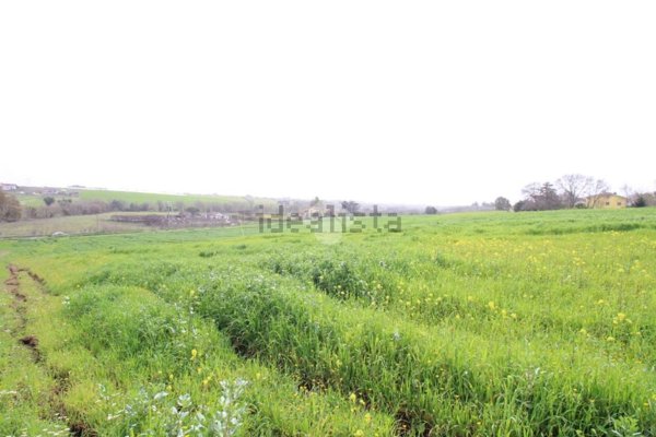 terreno in vendita a Pomezia in zona Santa Palomba