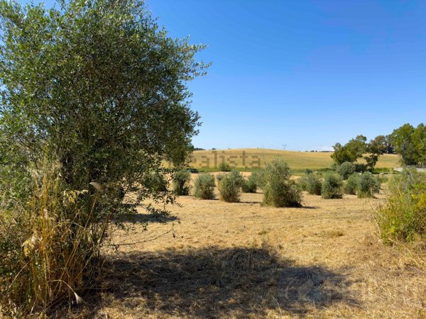 terreno in vendita a Pomezia