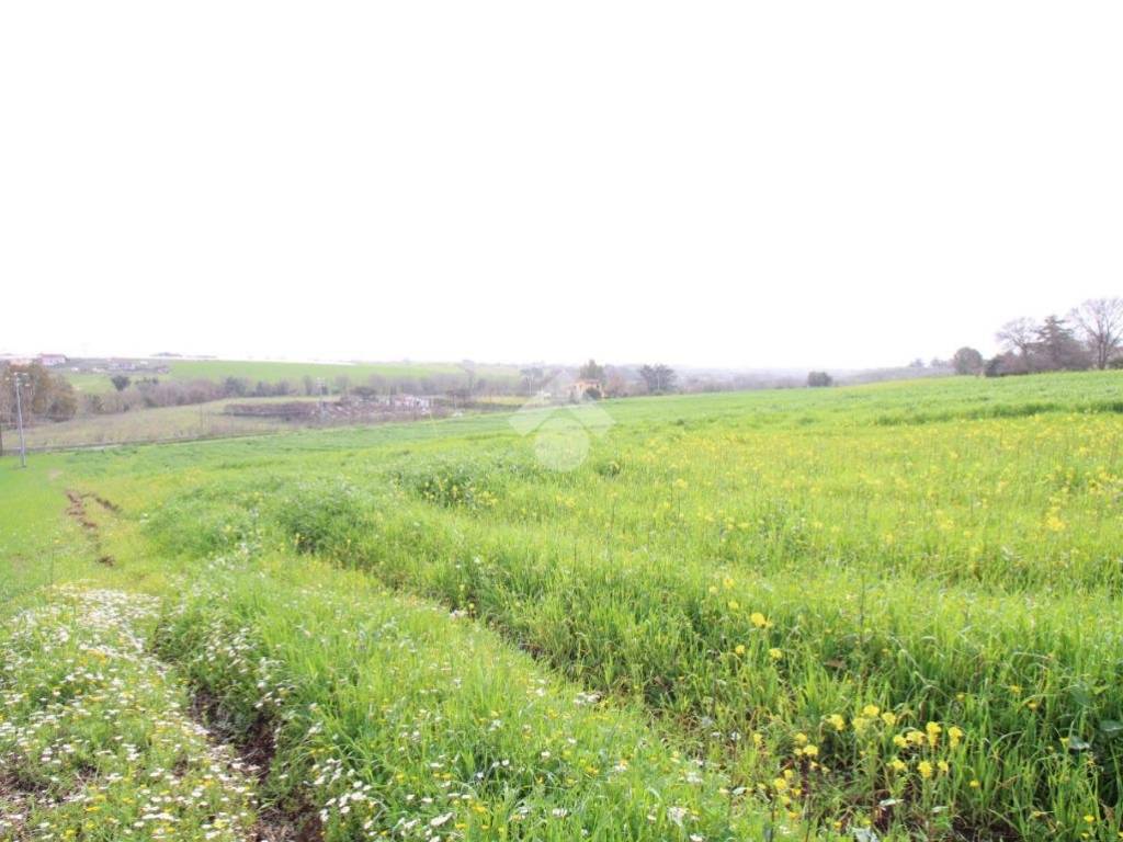 terreno in vendita a Pomezia in zona Santa Procula
