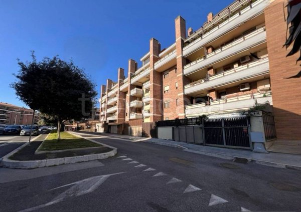 immagine annuncio 0 di 15