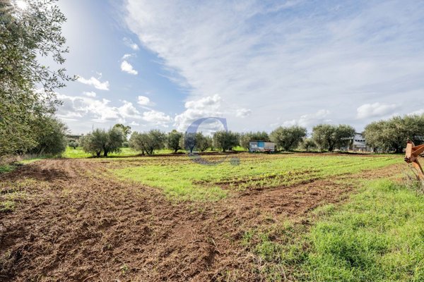 terreno in vendita a Pomezia in zona Santa Procula
