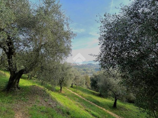 terreno agricolo in vendita a Ponzano Romano