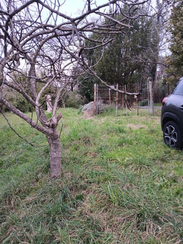 terreno agricolo in vendita a Ponzano Romano
