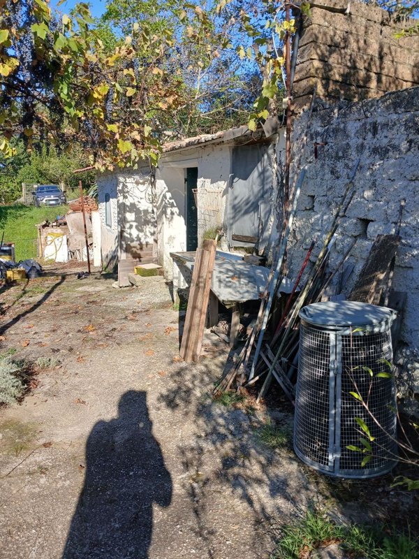 pentavano in vendita a Ponzano Romano