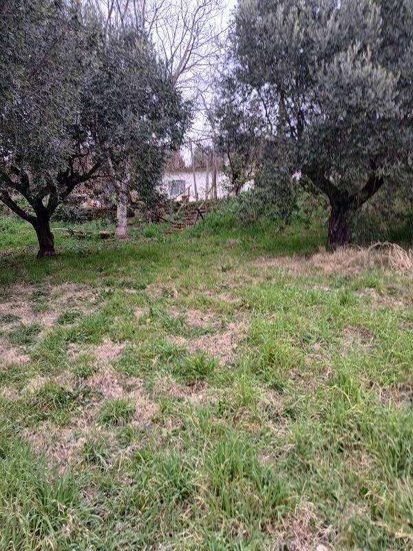 pentavano in vendita a Ponzano Romano