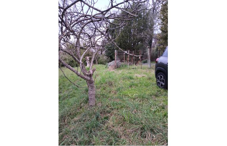 terreno agricolo in vendita a Ponzano Romano